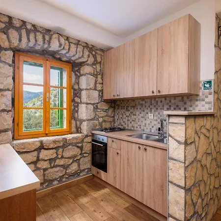 Villa Lazini Dvori Stasevica